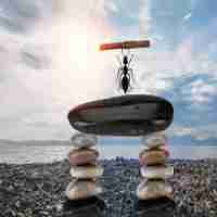 一‍键​收‍录‍网​站﻿